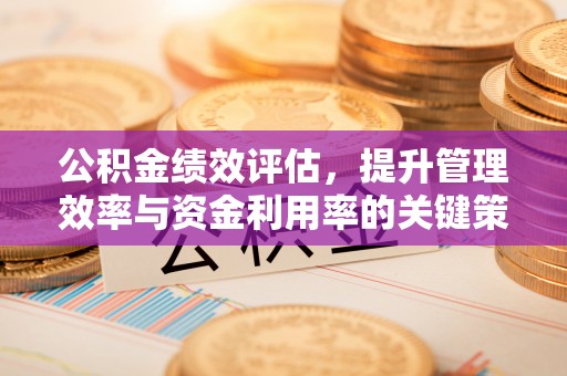 惠城公积金绩效评估，提升管理效率与资金利用率的关键策略