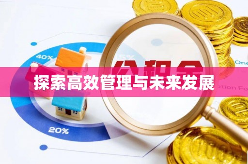 惠城探索高效管理与未来发展