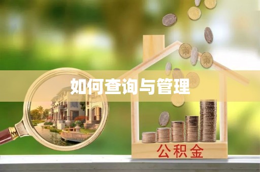 惠城如何查询与管理