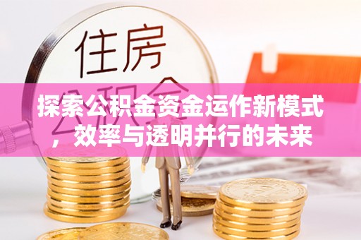 惠城探索公积金资金运作新模式，效率与透明并行的未来