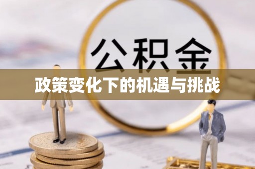 惠城政策变化下的机遇与挑战