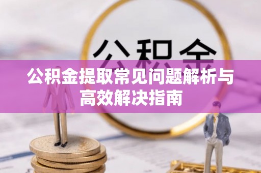 惠城公积金提取常见问题解析与高效解决指南