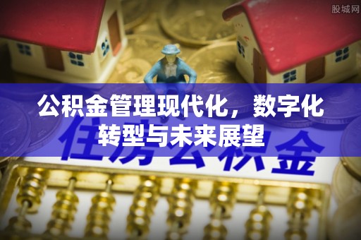 惠城公积金管理现代化，数字化转型与未来展望