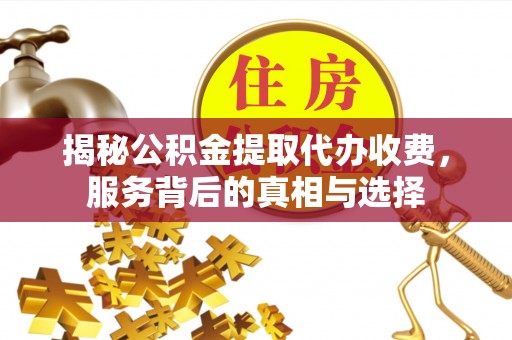 惠城揭秘公积金提取代办收费，服务背后的真相与选择
