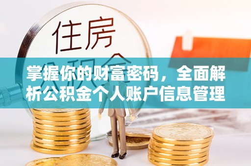 惠城掌握你的财富密码，全面解析公积金个人账户信息管理与优化