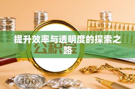惠城提升效率与透明度的探索之路