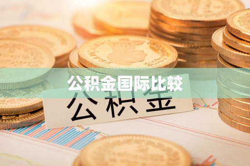 惠城公积金国际比较