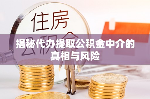 惠城揭秘代办提取公积金中介的真相与风险