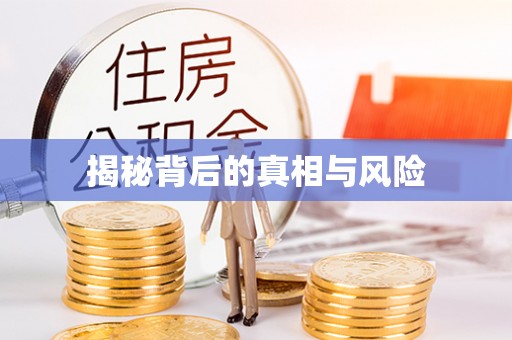 惠城揭秘背后的真相与风险