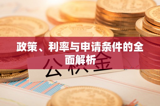 惠城政策、利率与申请条件的全面解析