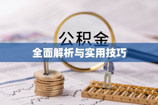 惠城全面解析与实用技巧