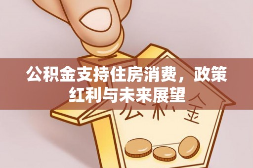惠城公积金支持住房消费，政策红利与未来展望