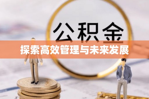 惠城探索高效管理与未来发展
