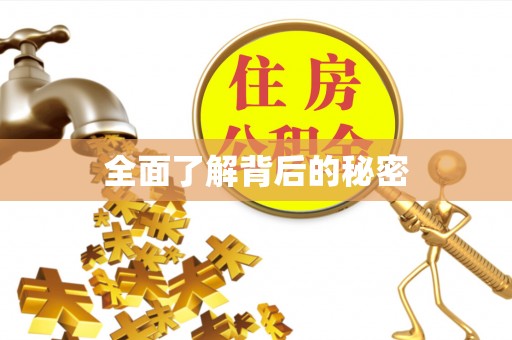 惠城全面了解背后的秘密