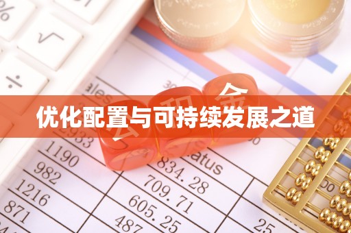 惠城优化配置与可持续发展之道