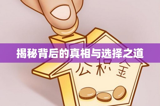惠城揭秘背后的真相与选择之道