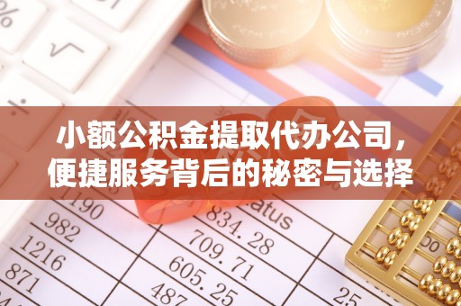 惠城小额公积金提取代办公司，便捷服务背后的秘密与选择指南