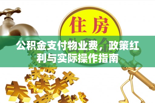 惠城公积金支付物业费，政策红利与实际操作指南