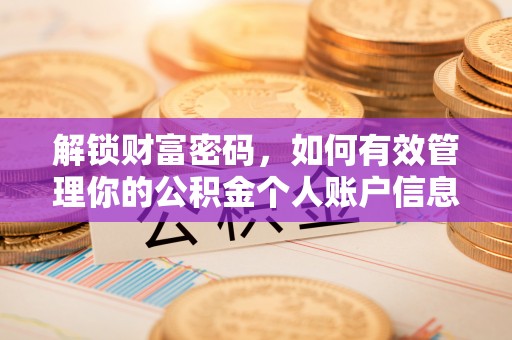 惠城解锁财富密码，如何有效管理你的公积金个人账户信息
