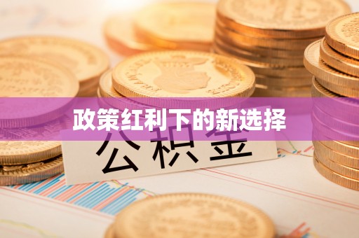 惠城政策红利下的新选择
