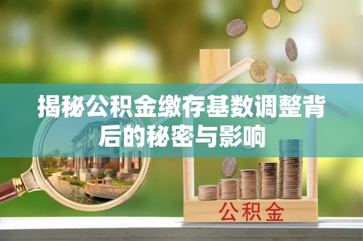 惠城揭秘公积金缴存基数调整背后的秘密与影响