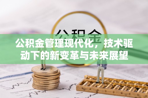 惠城公积金管理现代化，技术驱动下的新变革与未来展望