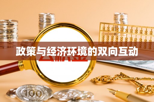 惠城政策与经济环境的双向互动