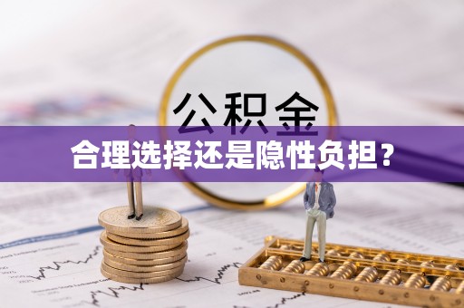 惠城合理选择还是隐性负担？