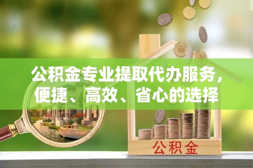 惠城公积金专业提取代办服务，便捷、高效、省心的选择