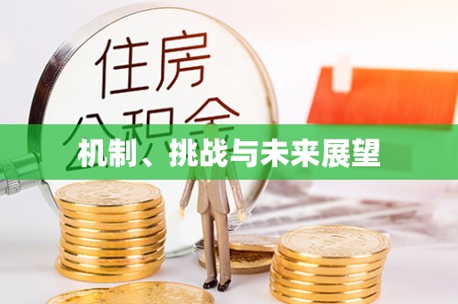 惠城机制、挑战与未来展望