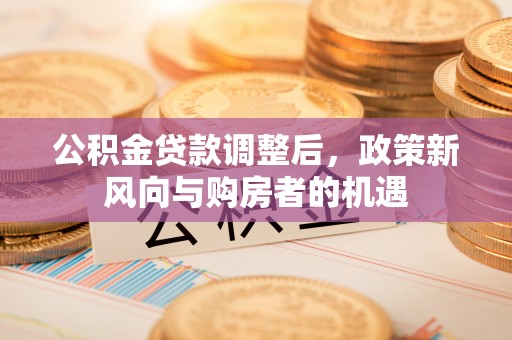 惠城公积金贷款调整后，政策新风向与购房者的机遇